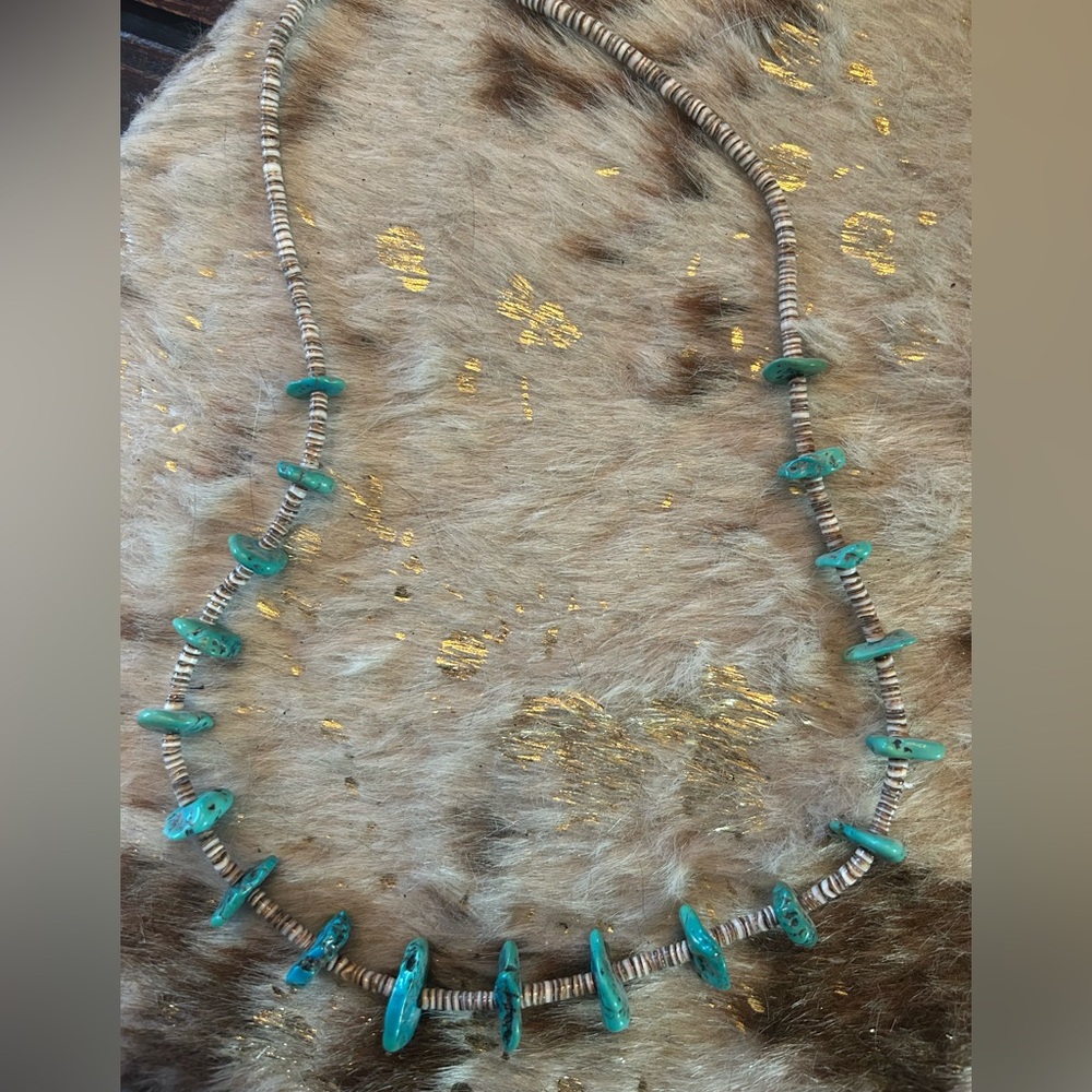 Vintage Santo Domingo Turquoise and Olive Silver Beaded Necklace